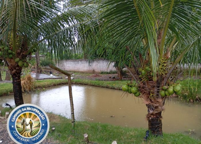 Foto da clínica Clínica de Recuperação na Bahia